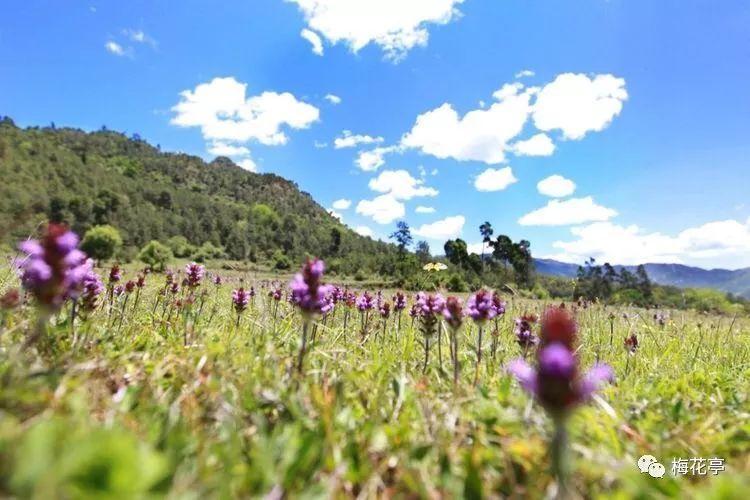 《大江大河》与《繁花》的区别在哪里？